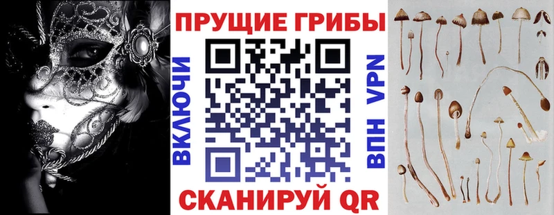 Галлюциногенные грибы GOLDEN TEACHER  купить наркоту  Урус-Мартан 