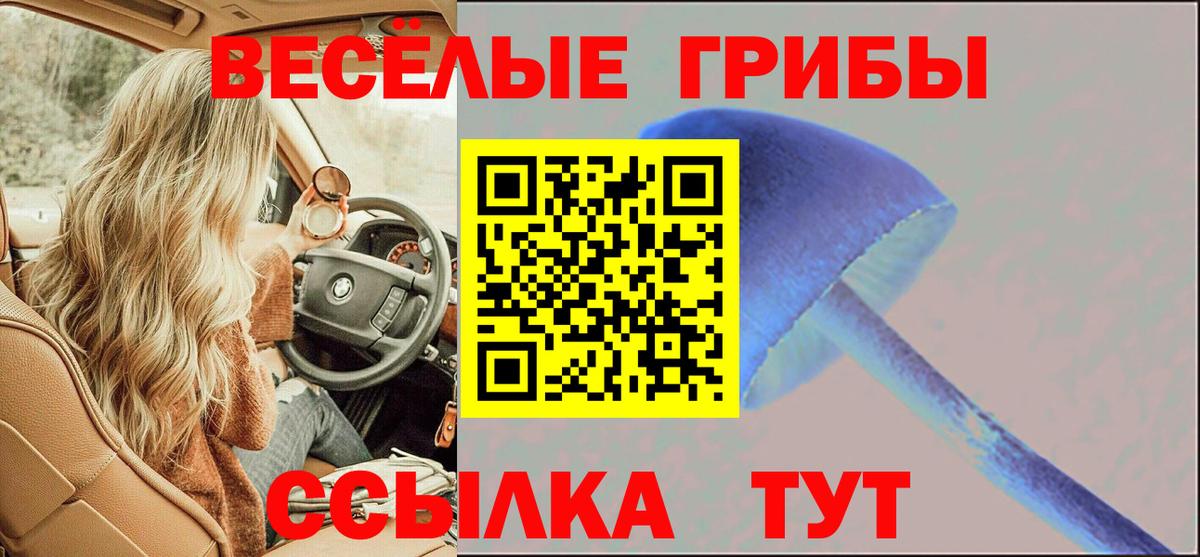 Псилоцибиновые грибы прущие грибы Урус-Мартан