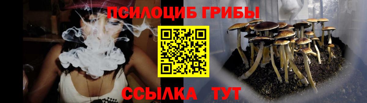 купить наркоту  Вход с VPN  Урус-Мартан  Псилоцибиновые грибы прущие грибы 